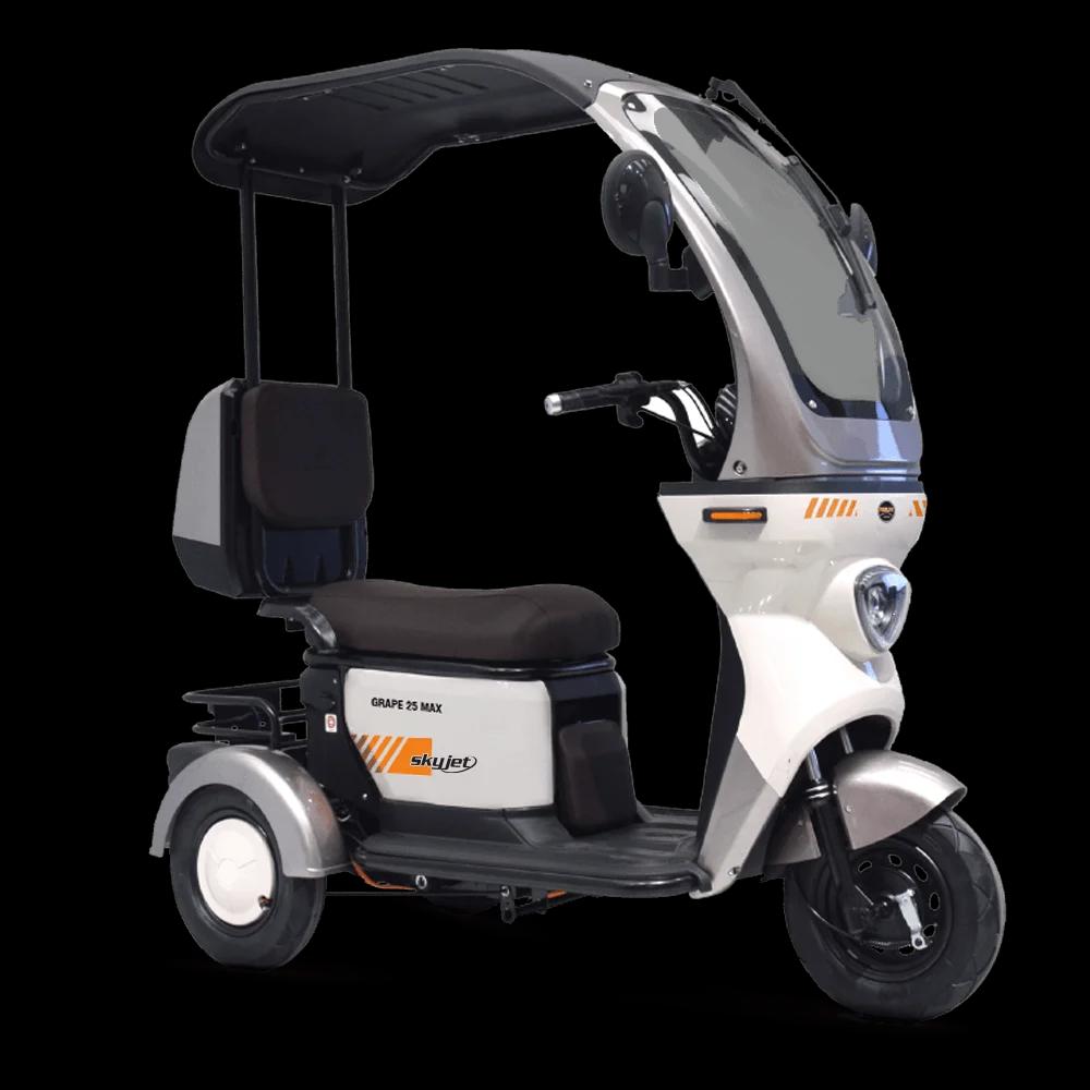 SKYJET Skyjet Grape-25-Max 2026 Model Motosiklet - Görsel 3